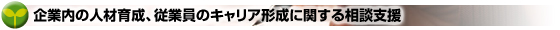 企業内の人材育成、従業員のキャリア形成に関する相談支援